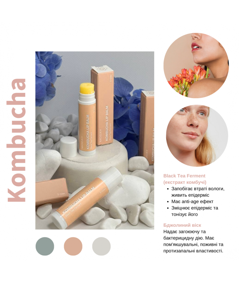 Натуральний бальзам для губ MODAY Kombucha LIP BALM на основі ферментованого чорного чаю, бджолиного воску та комплексу рослинних екстрактів 5 грам